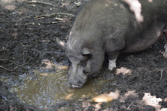 19岁巴西 19岁巴西