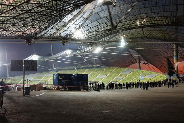 色和篮球智 色和篮球智