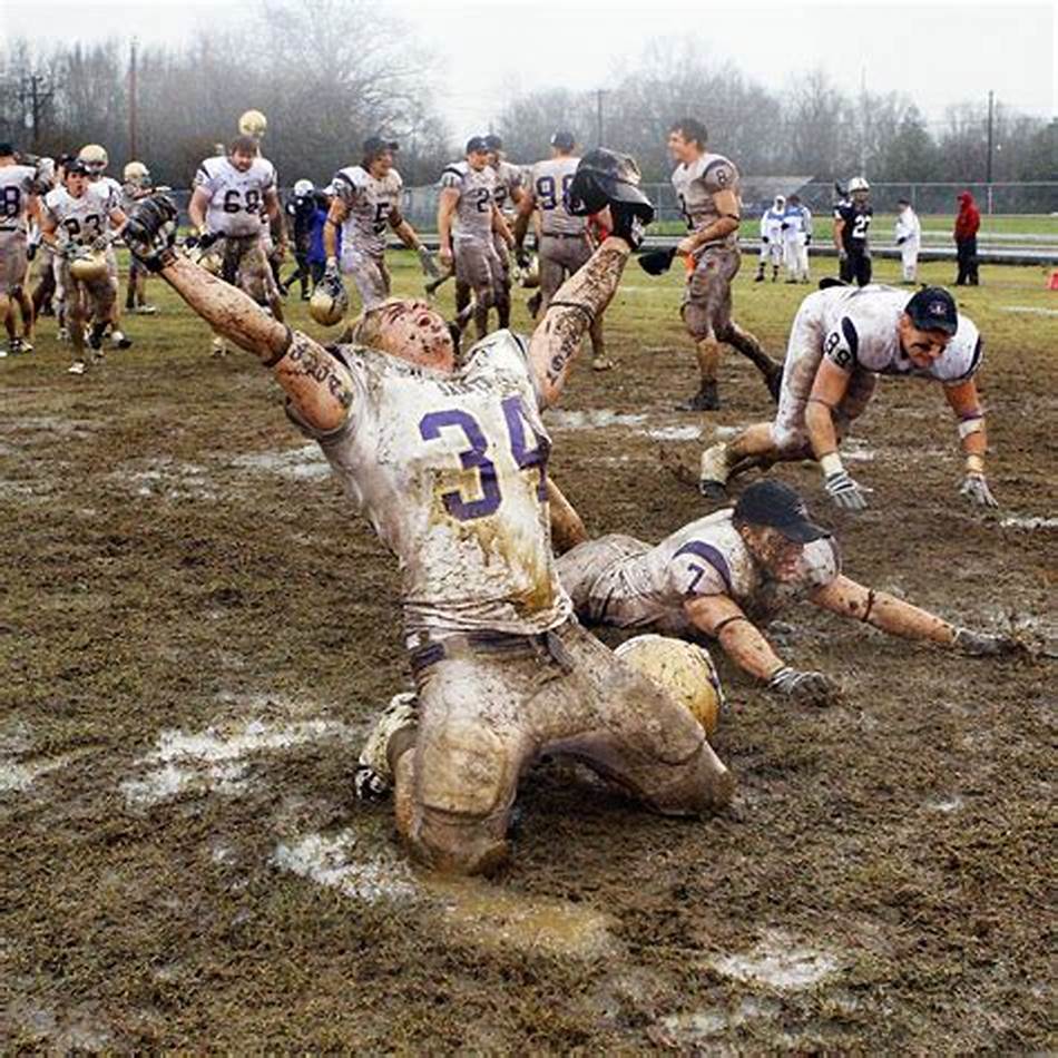 情感交流 情感交流